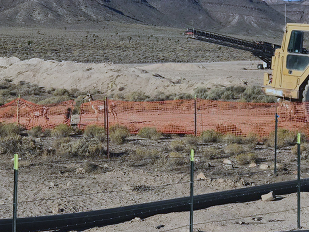 Pronghorn doe supervising the construction of a natural gas well pad