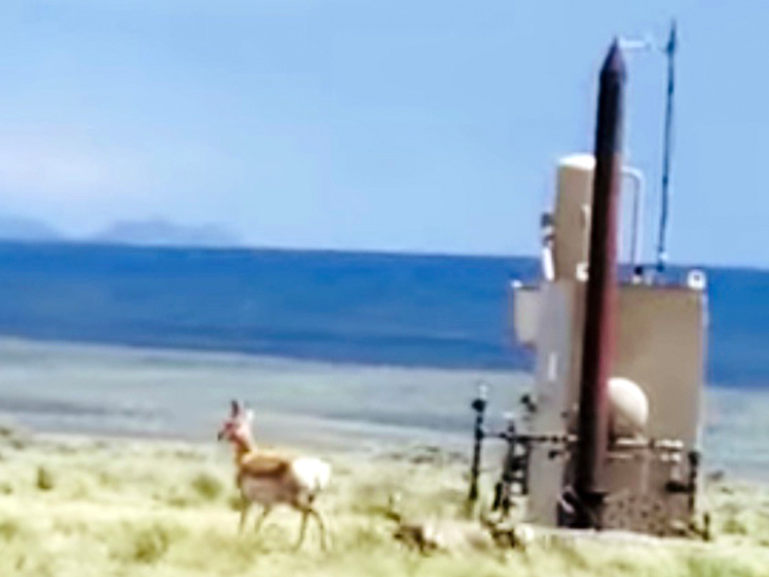 Pronghorn Doe and newborn fawns passing by a natural gas production unit