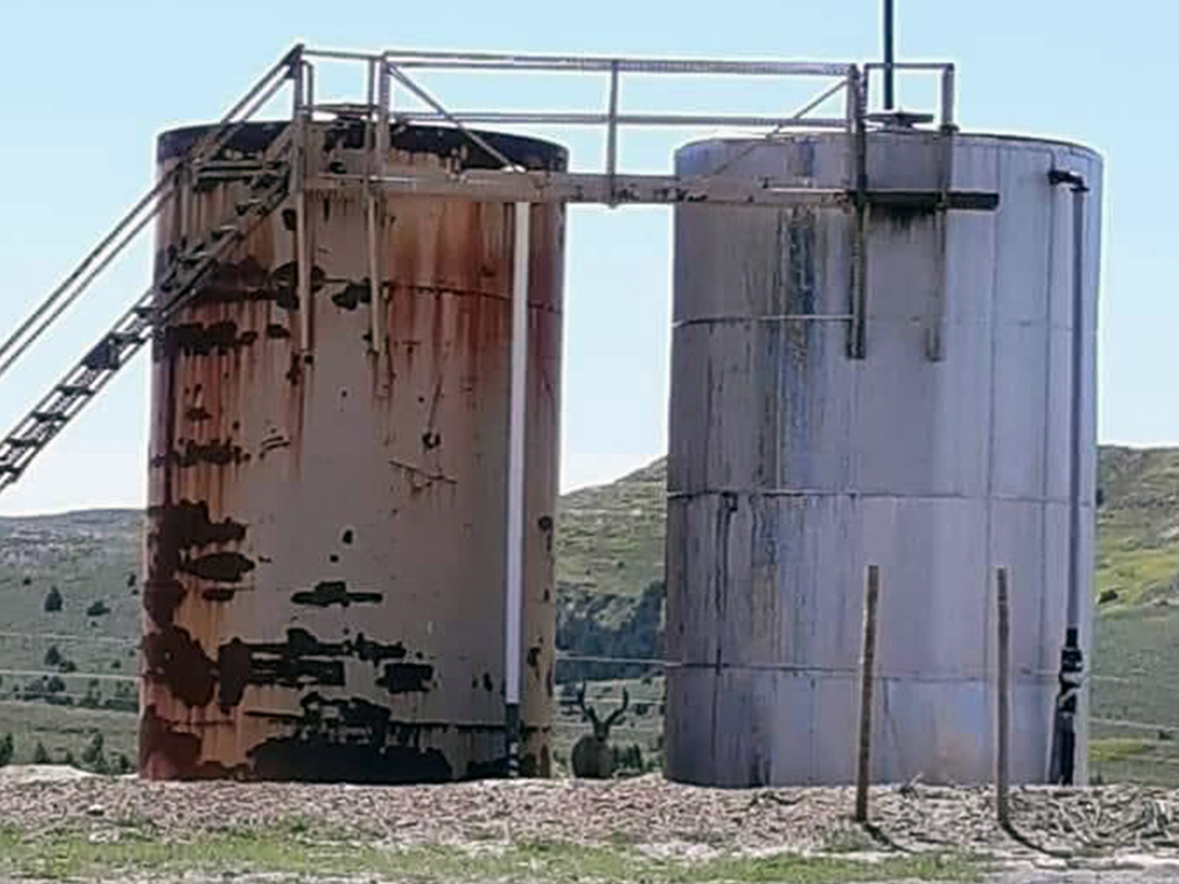 Mule deer seeking shade among oil storage tanks